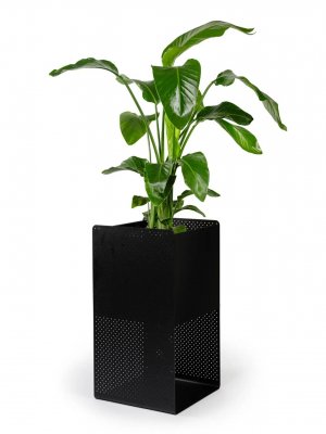 Perforovaný designový květináč - černý kov
